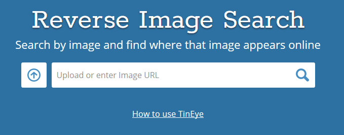 What Reverse Image Search Is &#038; How To Use It image 7