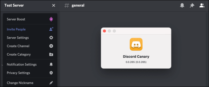 screenshot of discord canary test server