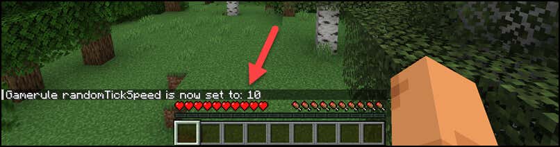 How to Change Tick Speed in Minecraft image 4